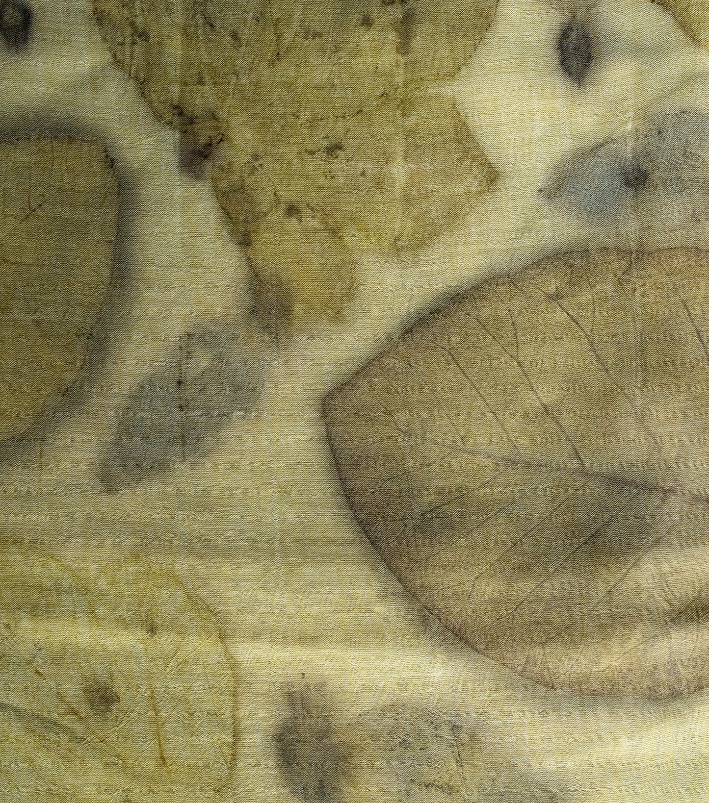 Teak Wood Leaves Pallu & Boarder Design Light Green Cotton Saree (Hand Dyed With Spinach Extract)