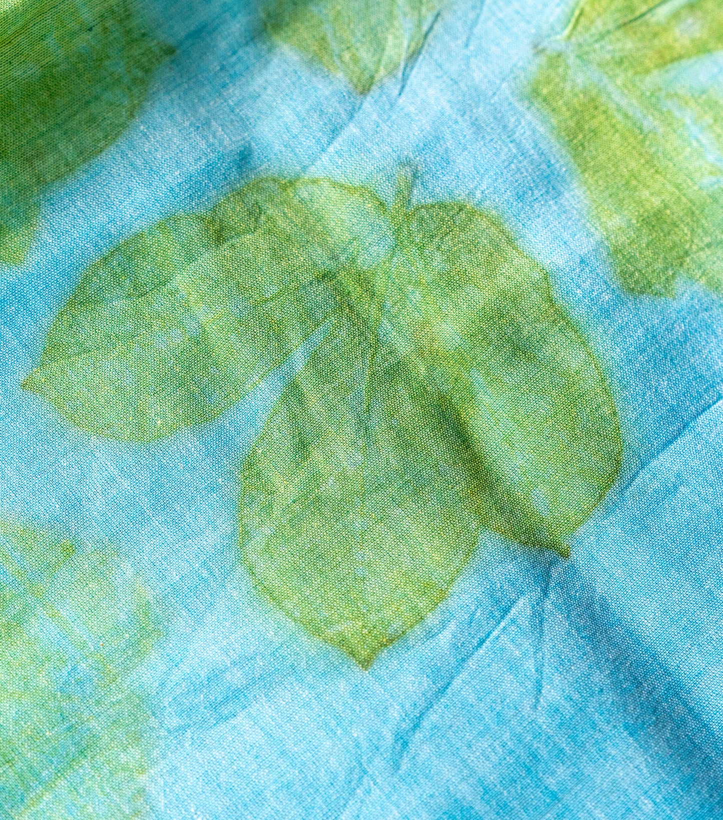 Auro Mandal Design Pallu with mix leaves indigo Blue Cotton Saree (Hand Dyed With Liquid Extracts Of Indigo Leaves)
