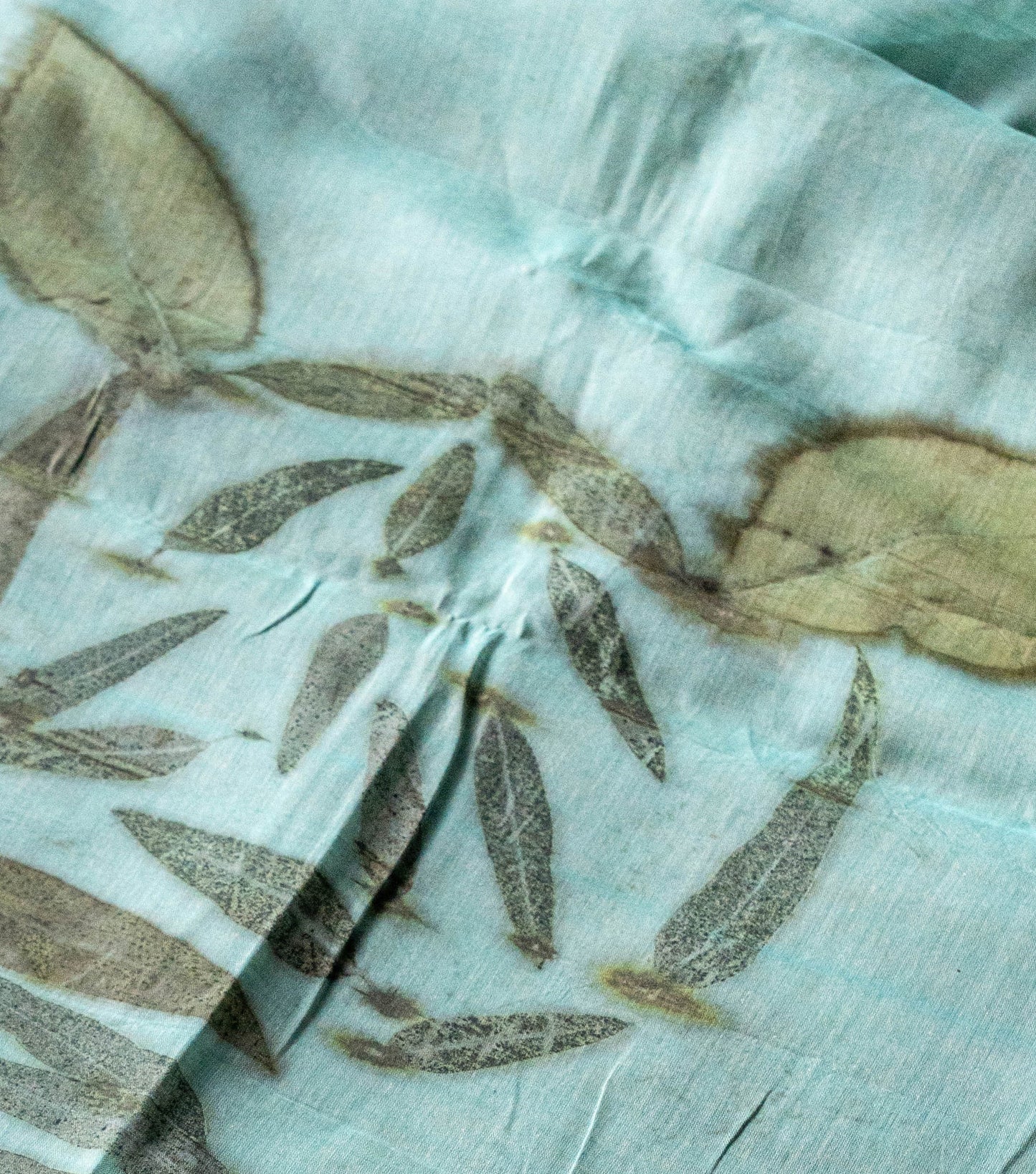 Tiger Design Eucalyptus Leaves Teal Blue Cotton Saree (Hand Dyed With Liquid Extracts Of Indigo Leaves)