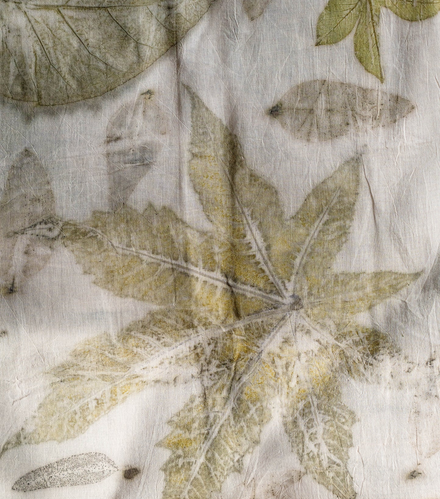 Castor oil Leaves Big Pallu Milky Pink Cotton Saree (Hand Dyed With Manjeestha Roots)