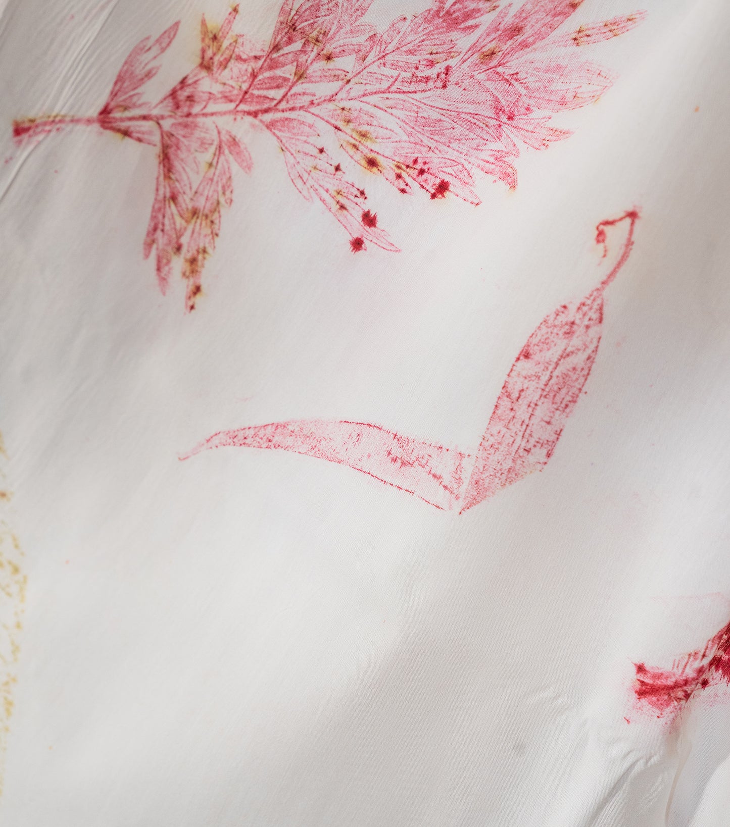 Ferns & Mix Leaves All Over Off White Cotton Saree (Hand Dyed With Harde)