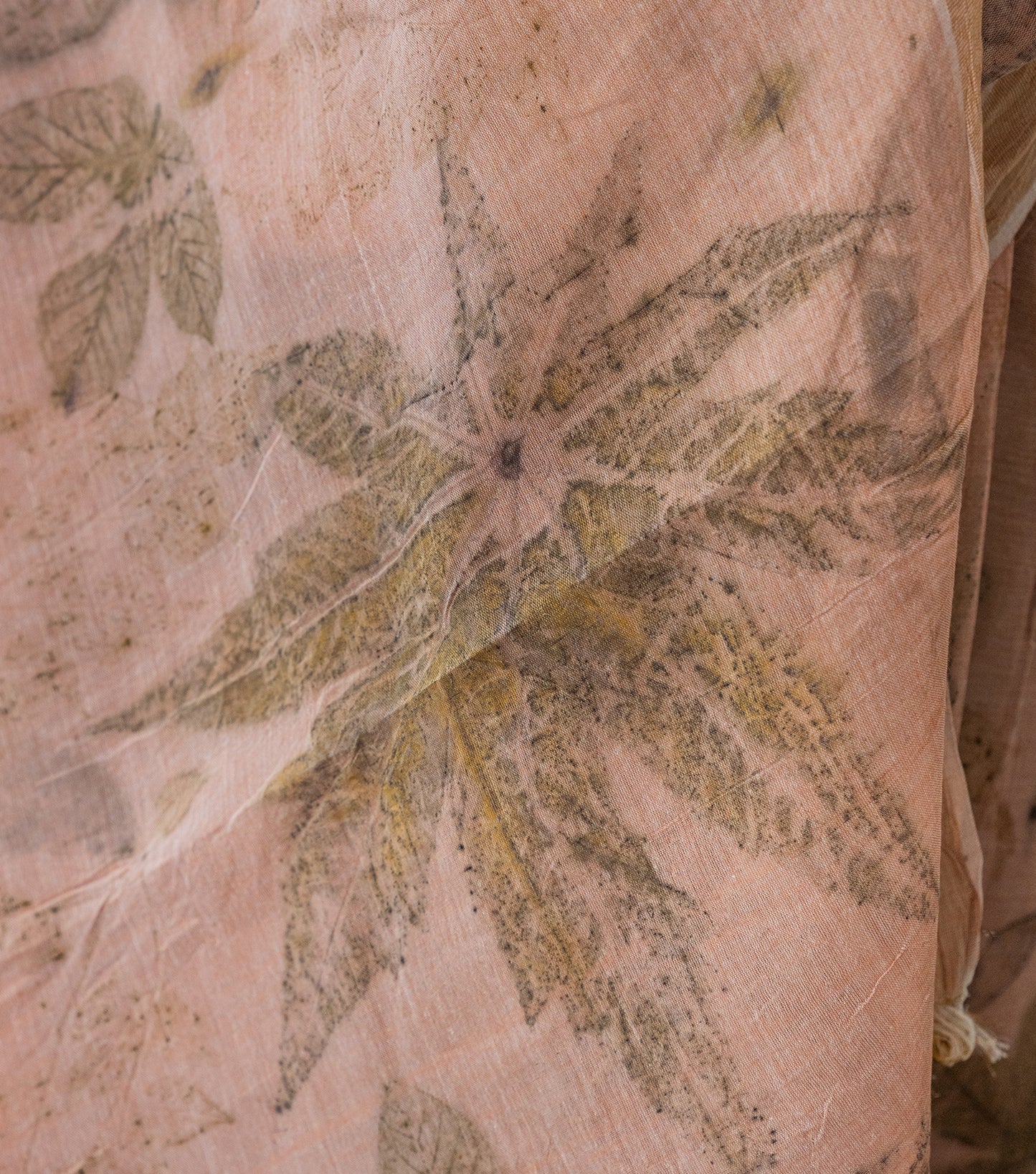 Guava & Castor Leaves All Over with Boarder Soft Flamingo Pink Cotton Saree (Hand Dyed With Manjeestha Roots)