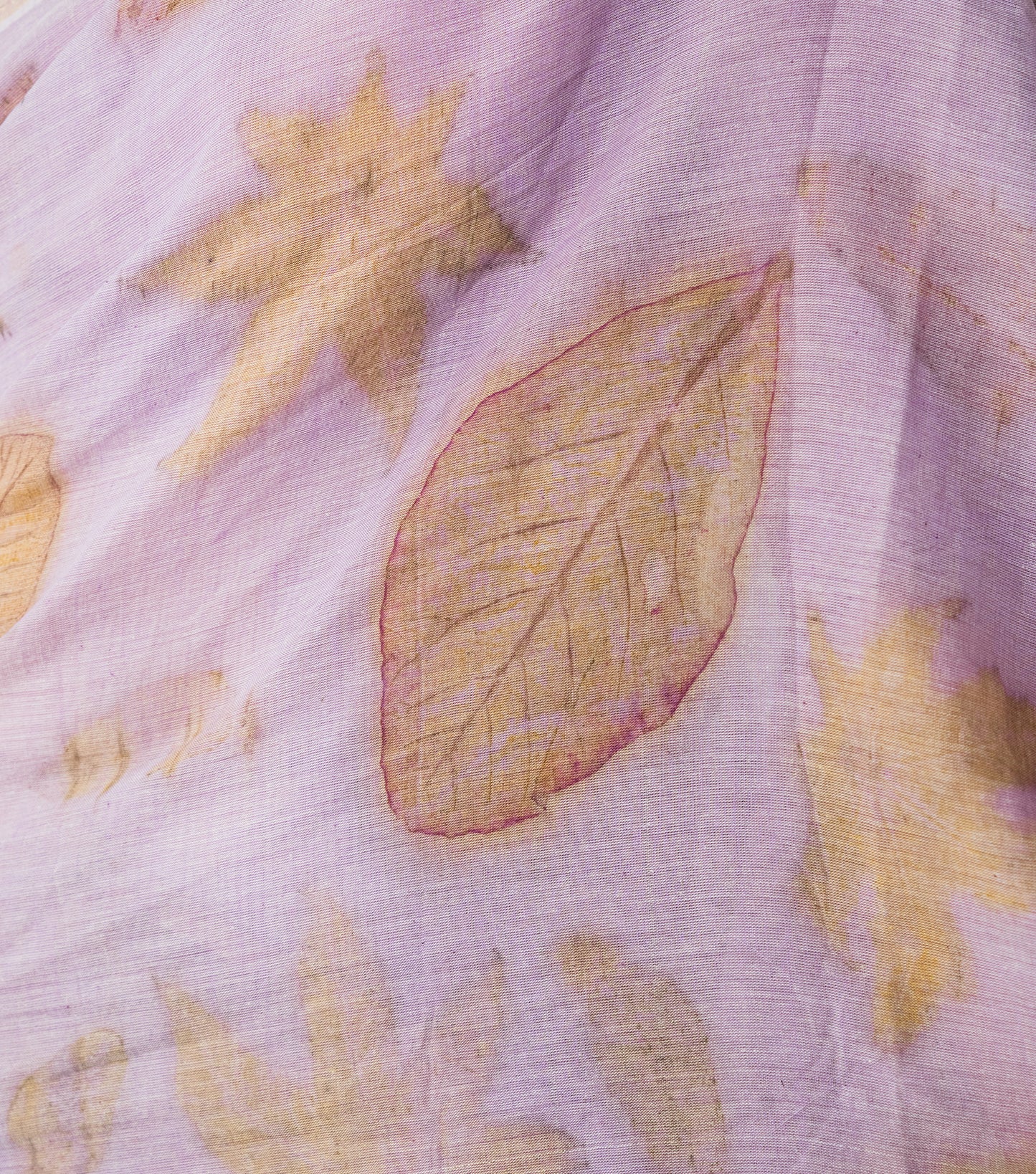 Eucalyptus leaves  Circle Design Soft Lilac Cotton Saree (Hand Dyed With Jamun Extract)