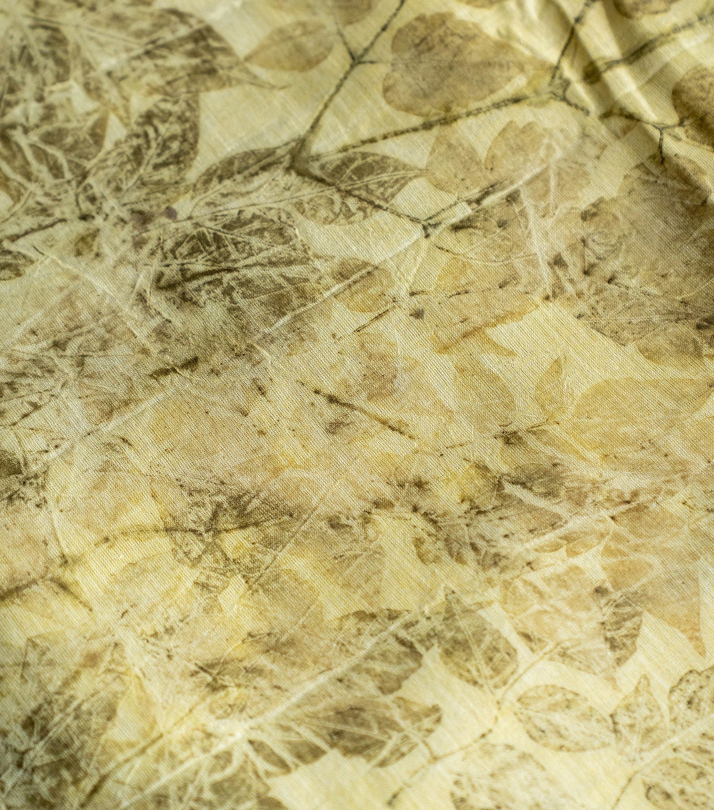 Ghar Design Pallu with Mix leaves Light Green Cotton Saree (Hand Dyed With Spinach Extract)
