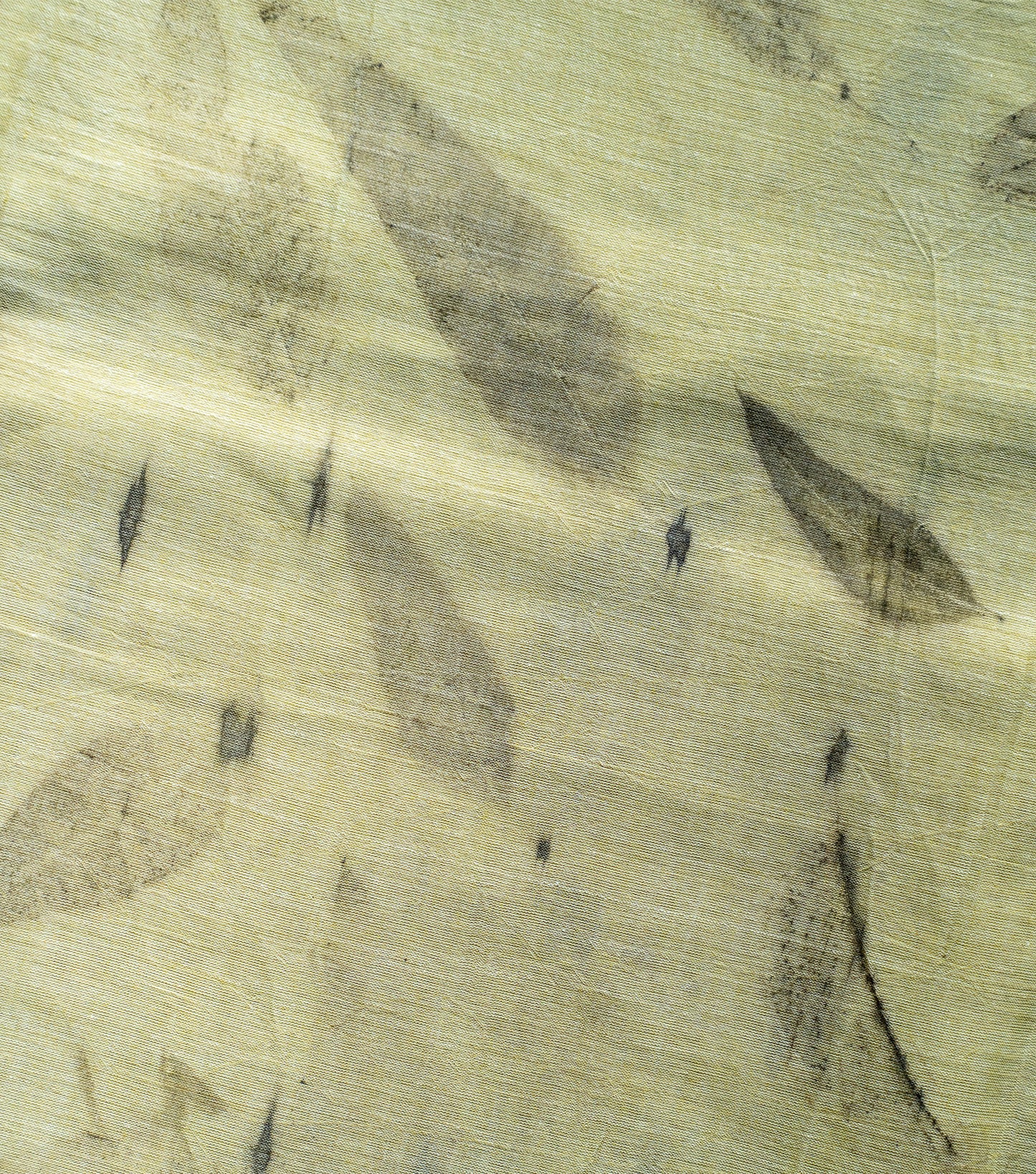Eucalyptus Leaves All Over Light Green Cotton Saree (Hand Dyed With Spinach Extract)