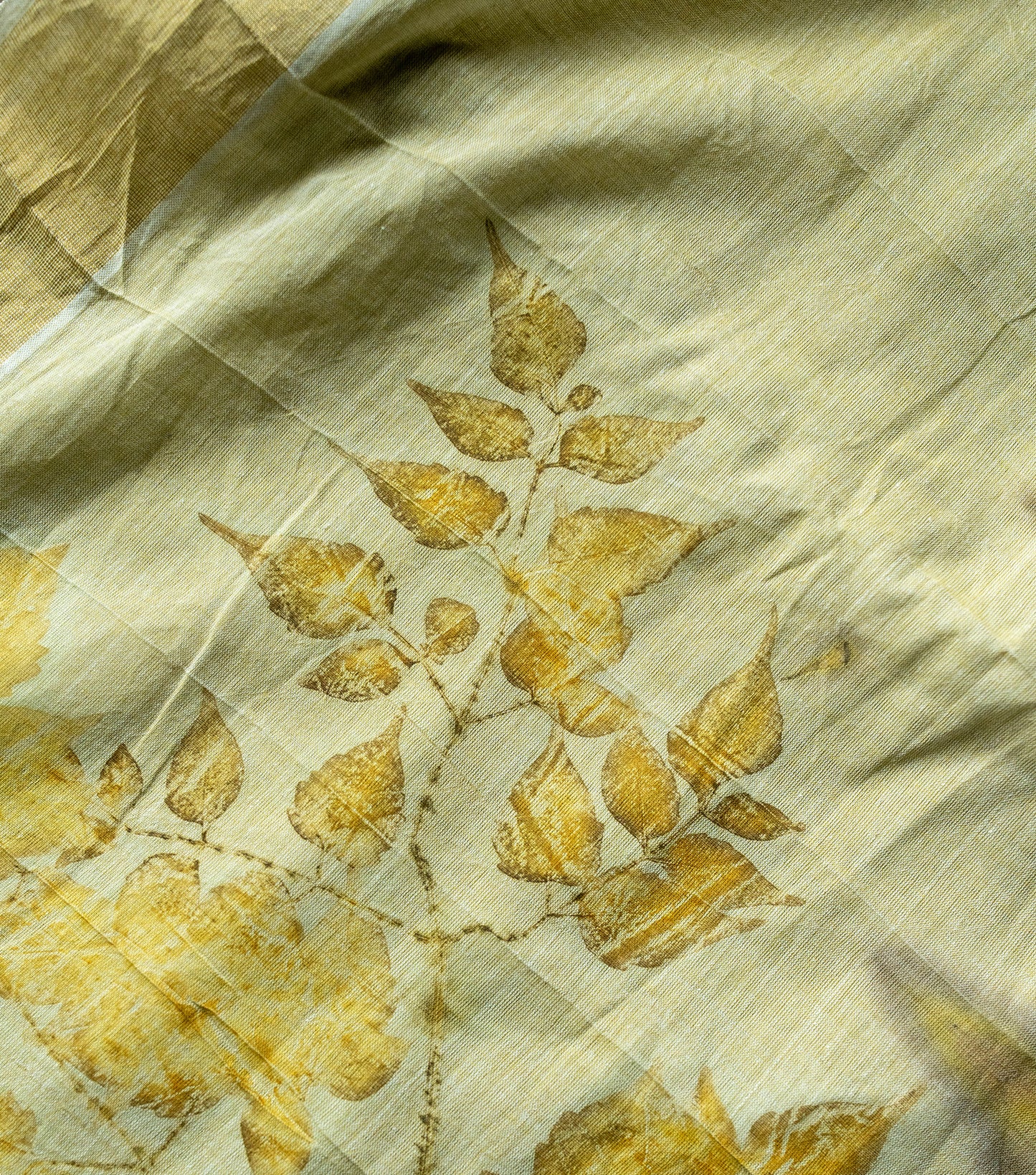 Tiger Design Pallu with Eucalyptus leaves Light Green Cotton Saree (Hand Dyed With Spinach Extract)