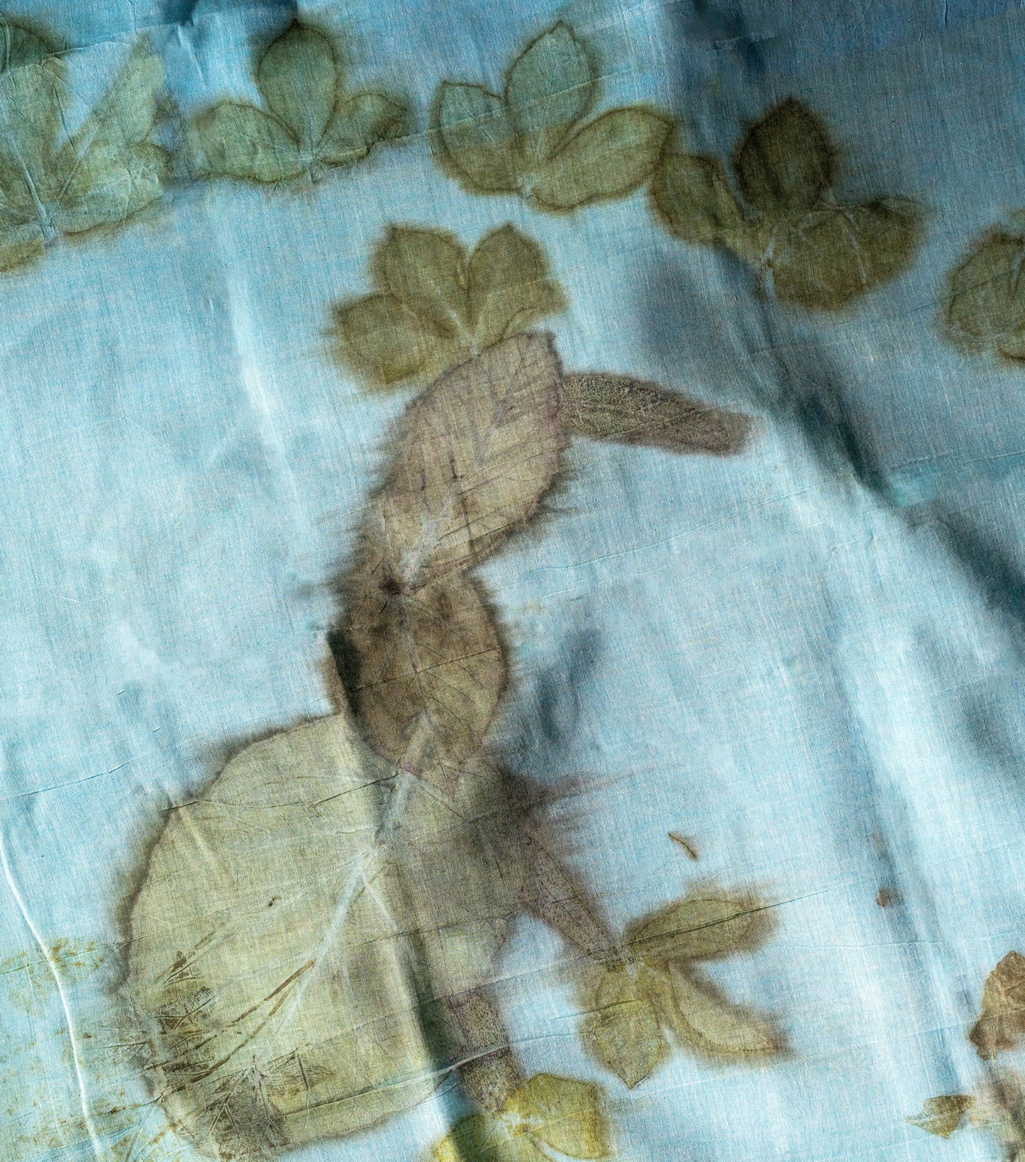 Morni (Peacock) Design Pallu with mix leaves indigo Blue Cotton Saree (Hand Dyed With Liquid Extracts Of Indigo Leaves)