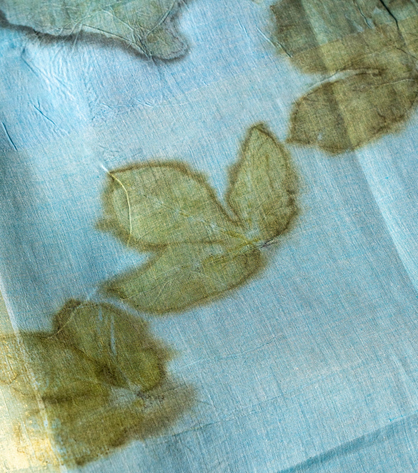 Morni (Peacock) Design Pallu with mix leaves indigo Blue Cotton Saree (Hand Dyed With Liquid Extracts Of Indigo Leaves)