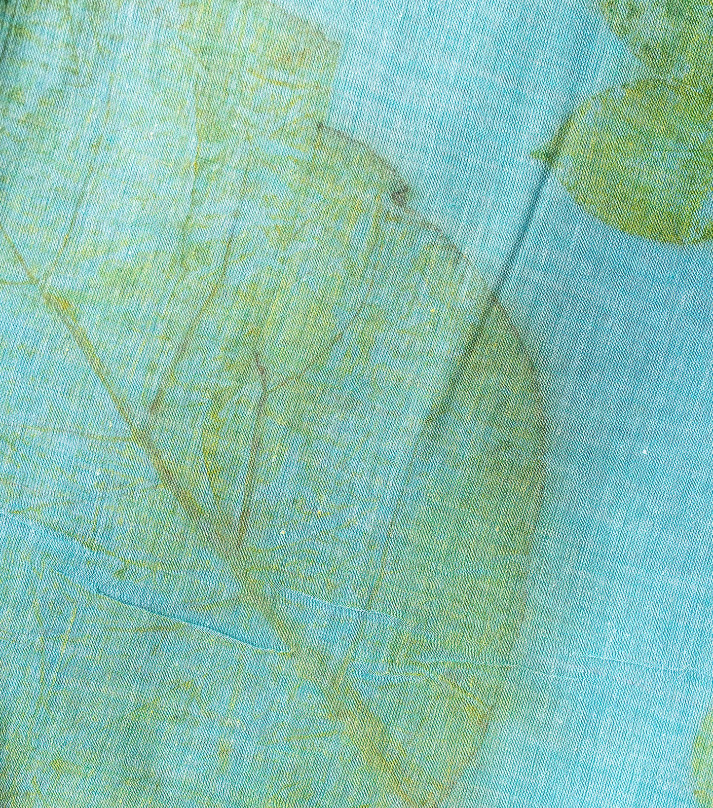 Teak & Jatropha Leaves Pallu Teal Blue Cotton Saree (Hand Dyed With Liquid Extracts Of Indigo Leaves)