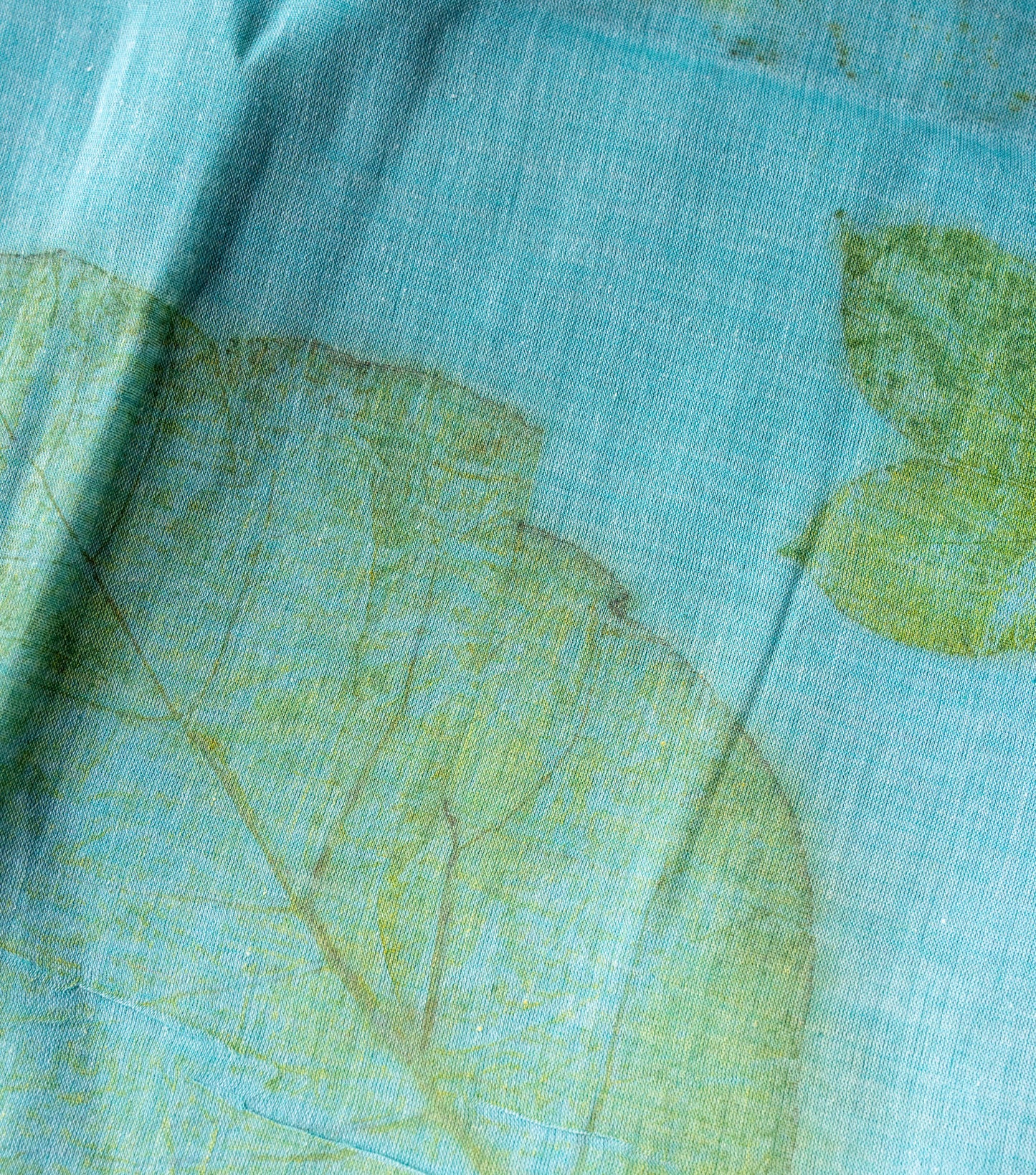 Teak & Jatropha Leaves Pallu Teal Blue Cotton Saree (Hand Dyed With Liquid Extracts Of Indigo Leaves)