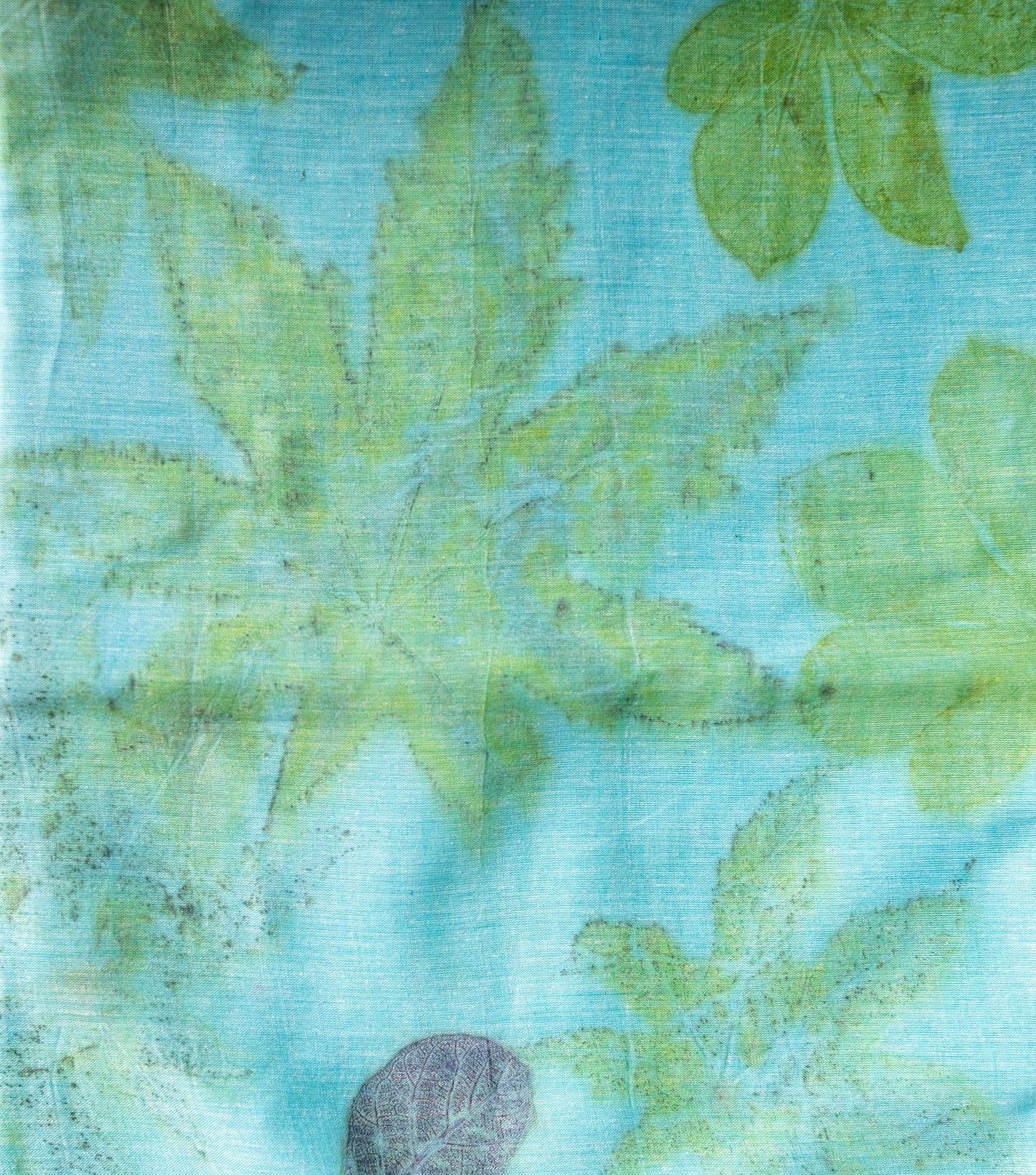 Mix Leaves Pallu Teal Blue Cotton Saree (Hand Dyed With Liquid Extracts Of Indigo Leaves)