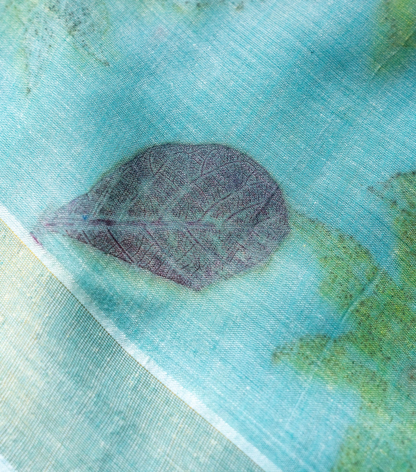 Mix Leaves Pallu Teal Blue Cotton Saree (Hand Dyed With Liquid Extracts Of Indigo Leaves)