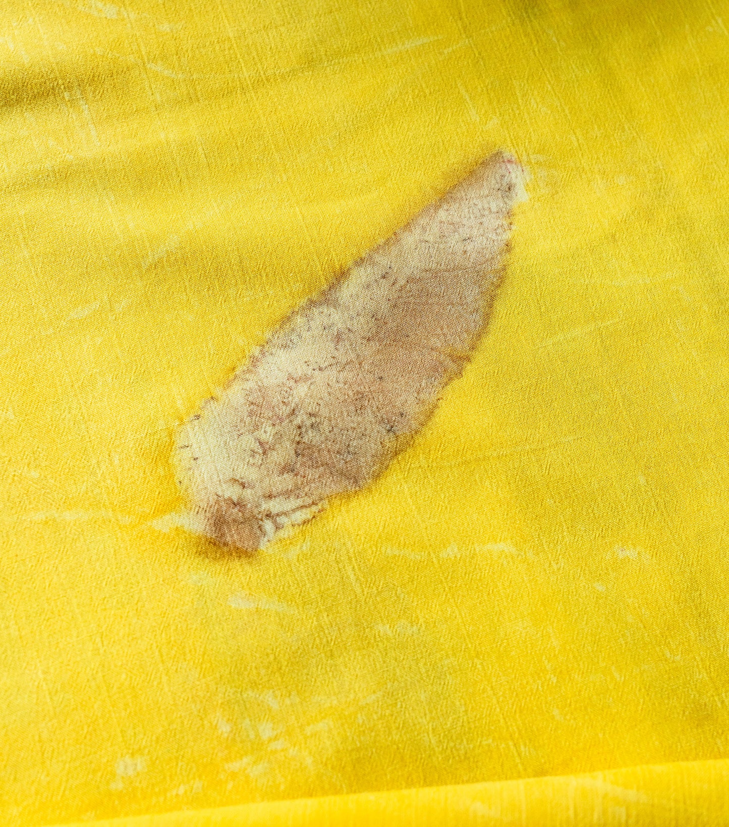Guava Leaves All Over Banana Yellow Cotton Saree (Hand Dyed With Jackfruit Extracts)