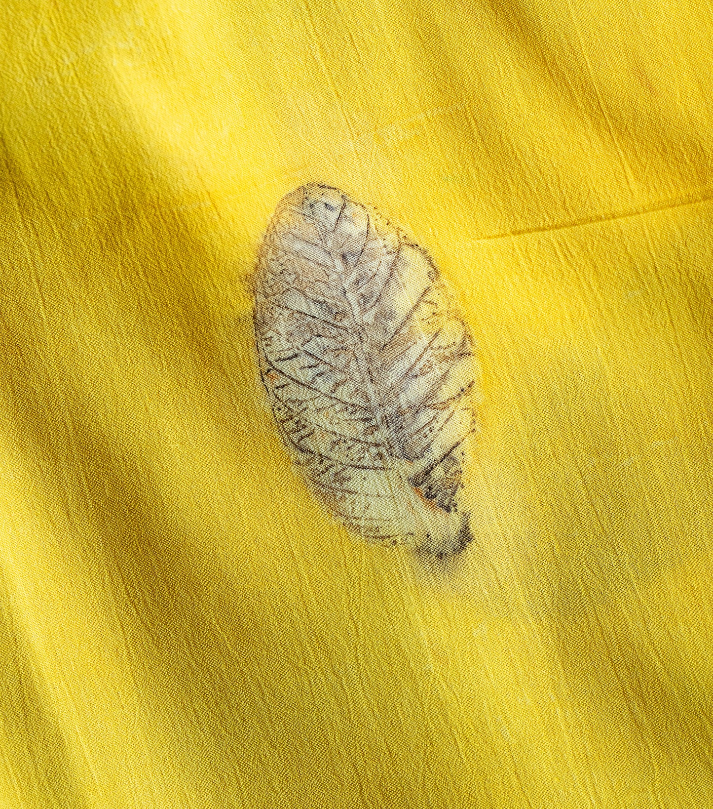 Guava Leaves All Over Banana Yellow Cotton Saree (Hand Dyed With Jackfruit Extracts)