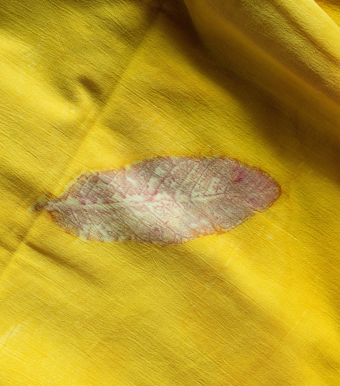 Guava Leaves All Over Banana Yellow Cotton Saree (Hand Dyed With Jackfruit Extracts)