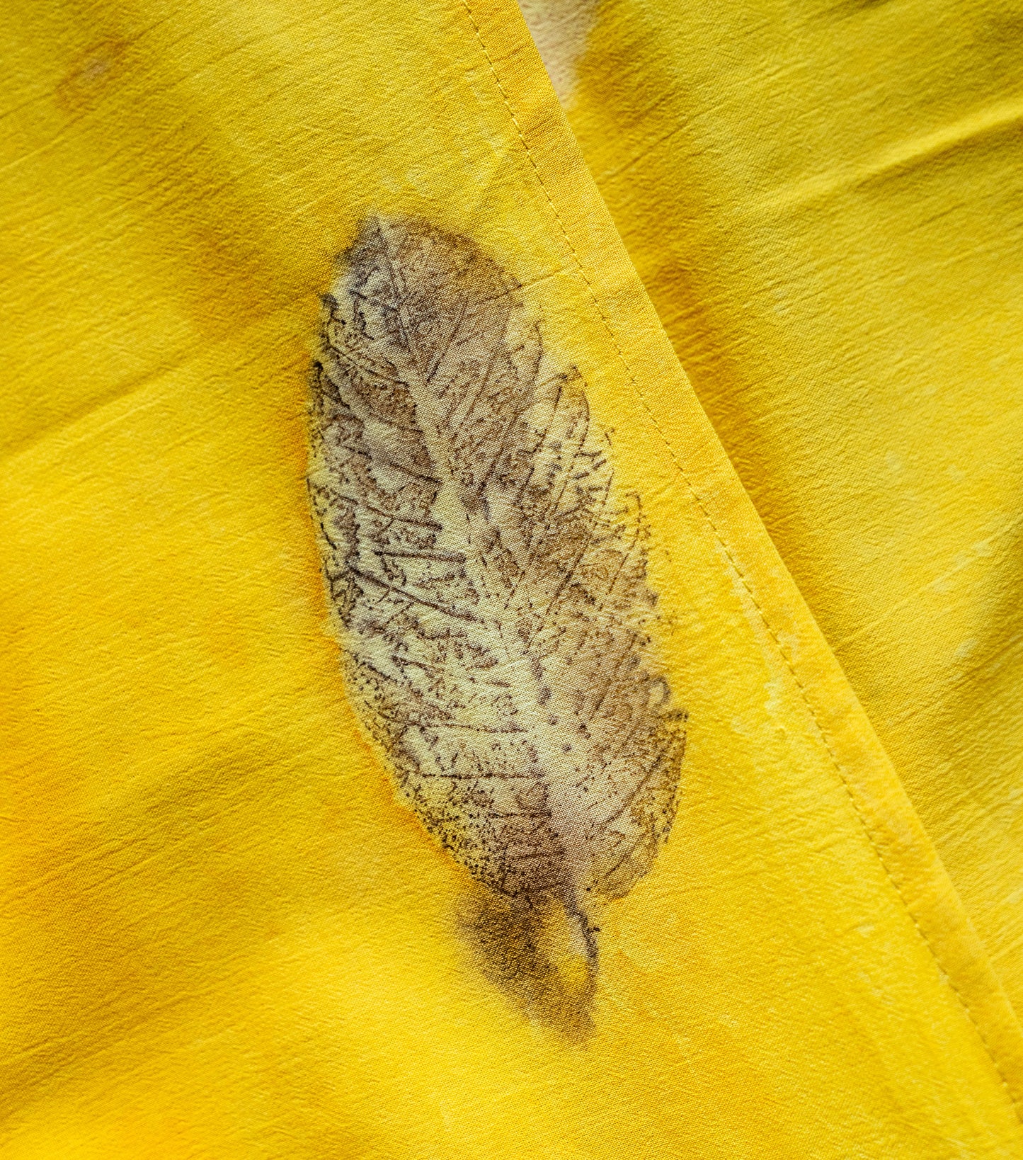 Guava Leaves All Over Banana Yellow Cotton Saree (Hand Dyed With Jackfruit Extracts)