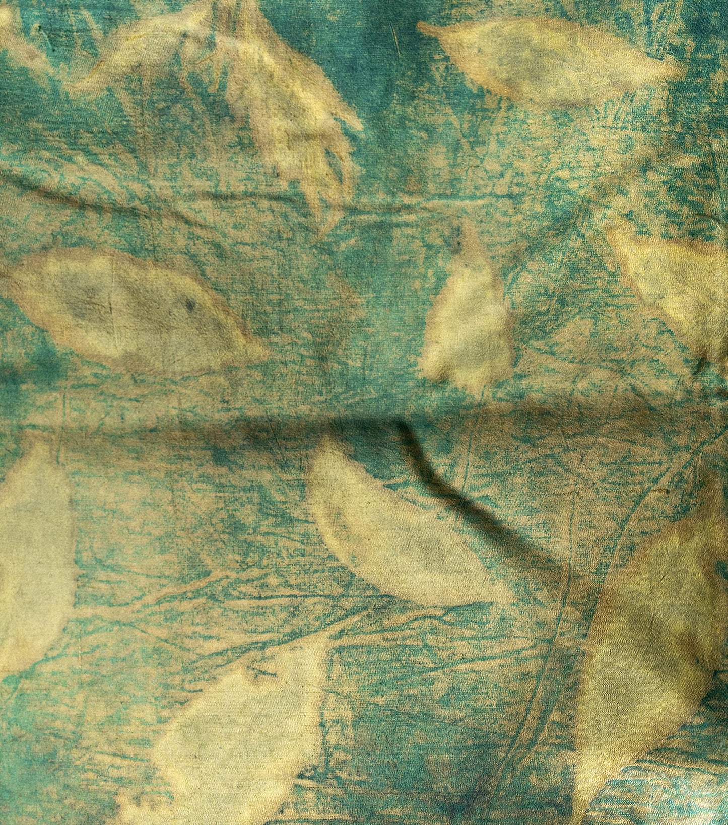 Eucalyptus leaves All Over Dark Olive Green Mulberry Silk Saree (Hand Dyed With Olives, Pomegranate Skin & Turmeric)