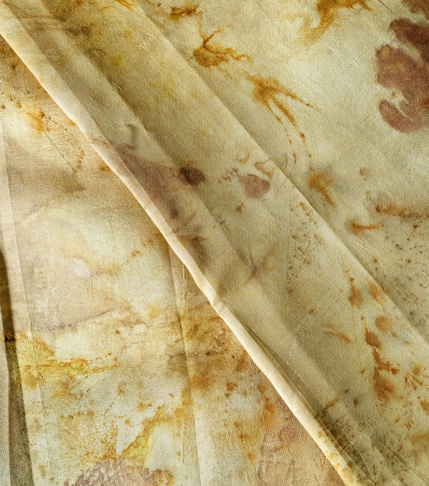 Mix leaves All Over Champagne Beige Mulberry Silk Saree (Hand Dyed With Harde)