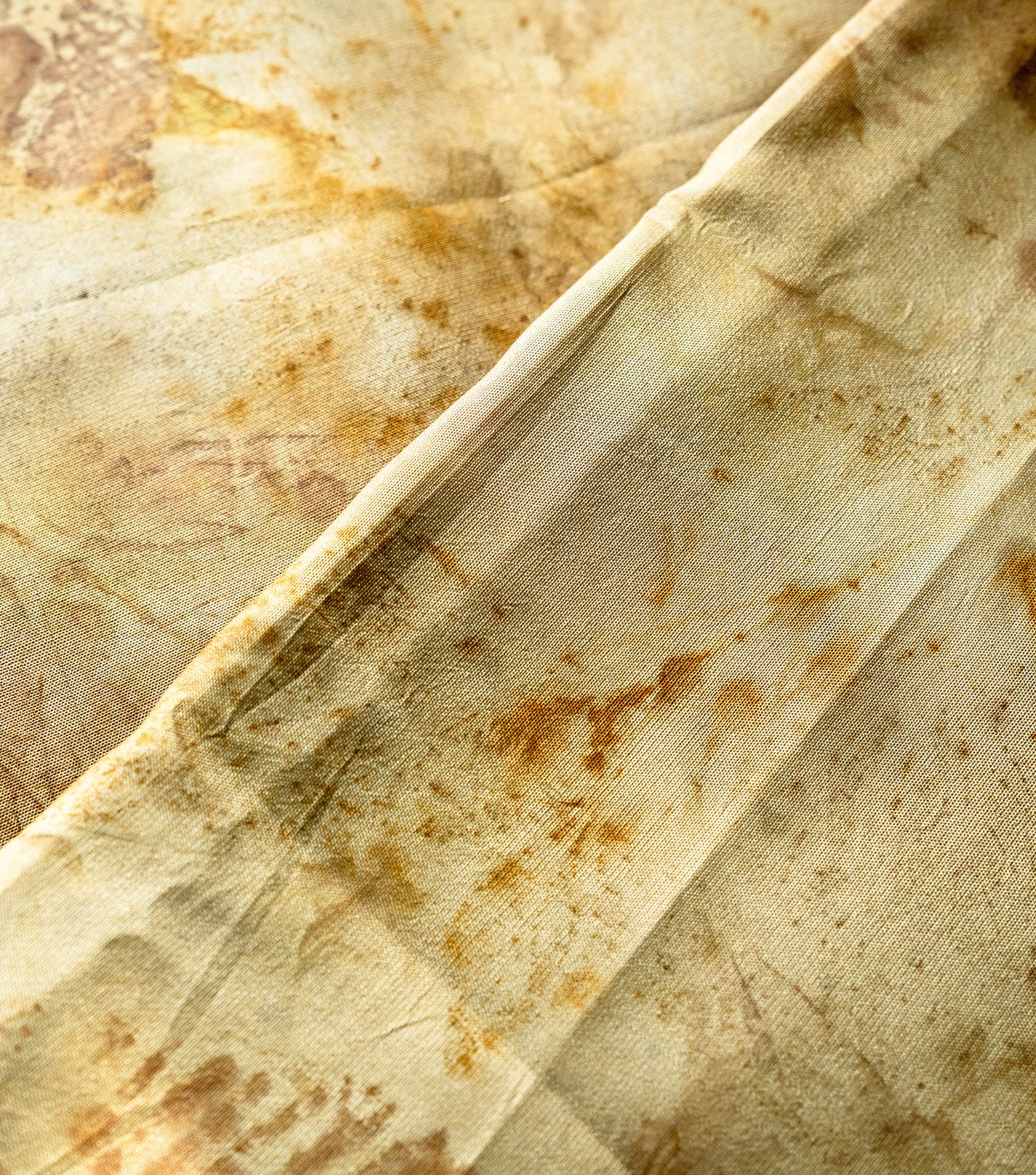 Mix leaves All Over Champagne Beige Mulberry Silk Saree (Hand Dyed With Harde)